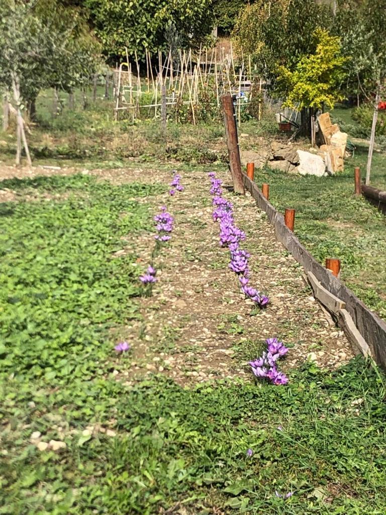 Il Borghetto Di Carra Apartment Talla Bagian luar foto