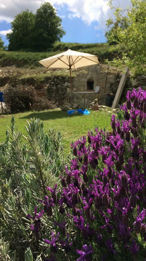 Il Borghetto Di Carra Apartment Talla Bagian luar foto